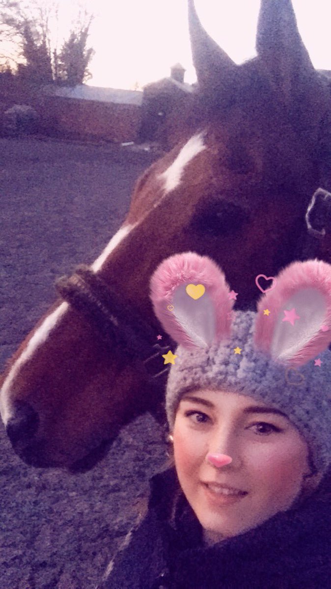 Fresh morning walk with Gleavo before work <a href="/equiloveuk/">EquiLove</a> #cold #morning #walking #horses