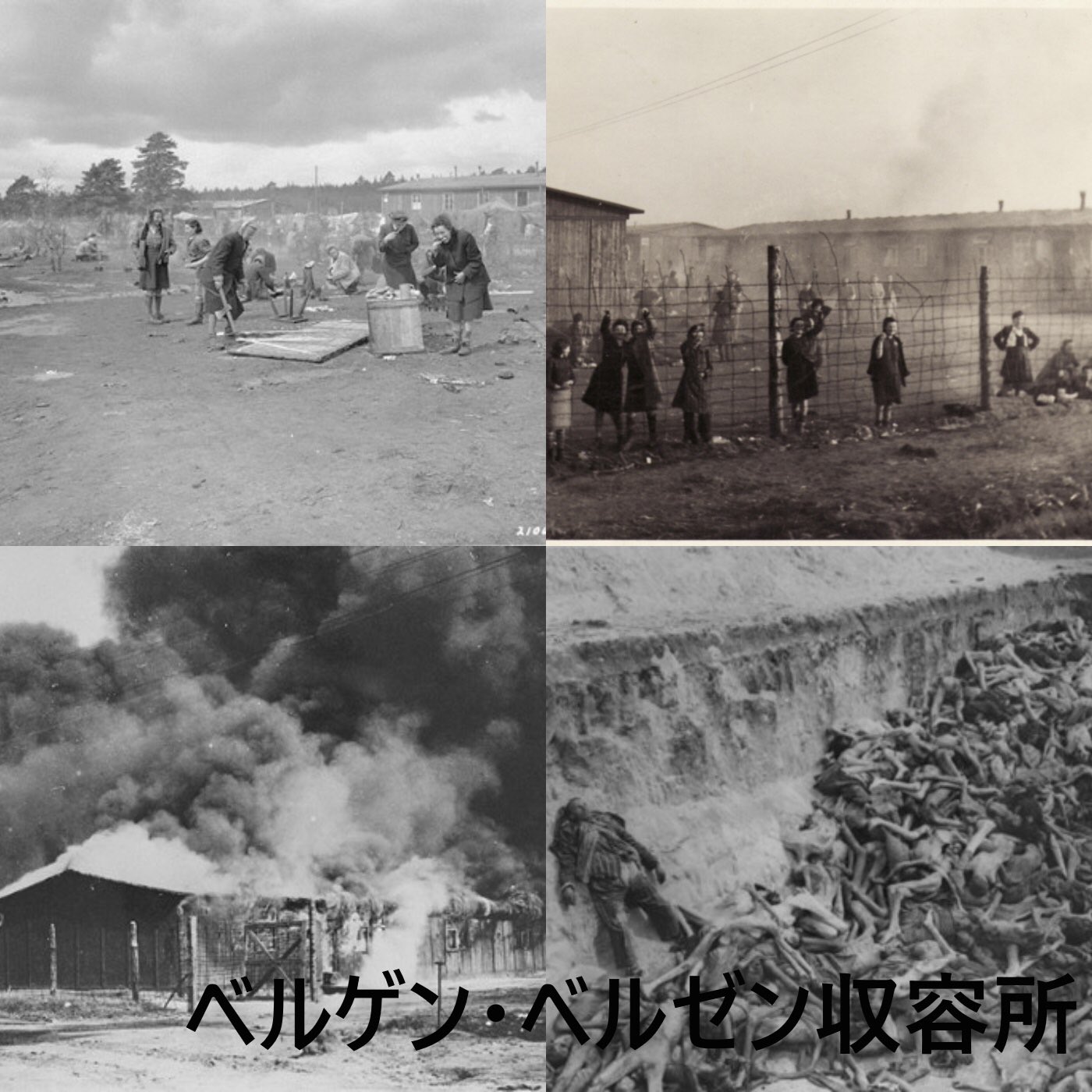 Twitter पर Npo法人ホロコースト教育資料センター Tokyo Holocaust Center 元ナチ親衛隊員 96歳のオスカー グレーニング被告に収監命令を下したドイツ ツェレの地方裁判所 ツェレと言えば おとぎ話に出てくるような可愛らしい木組みの家が並ぶ Twitter पर Npo法人ホロコースト教育資料センター Tokyo Holocaust Center 元ナチ親衛隊員 96歳のオスカー グレーニング被告に収監命令を下したドイツ ツェレの地方裁判所 ツェレと言えば おとぎ話に出てくるような可愛らしい木組みの家が並ぶ