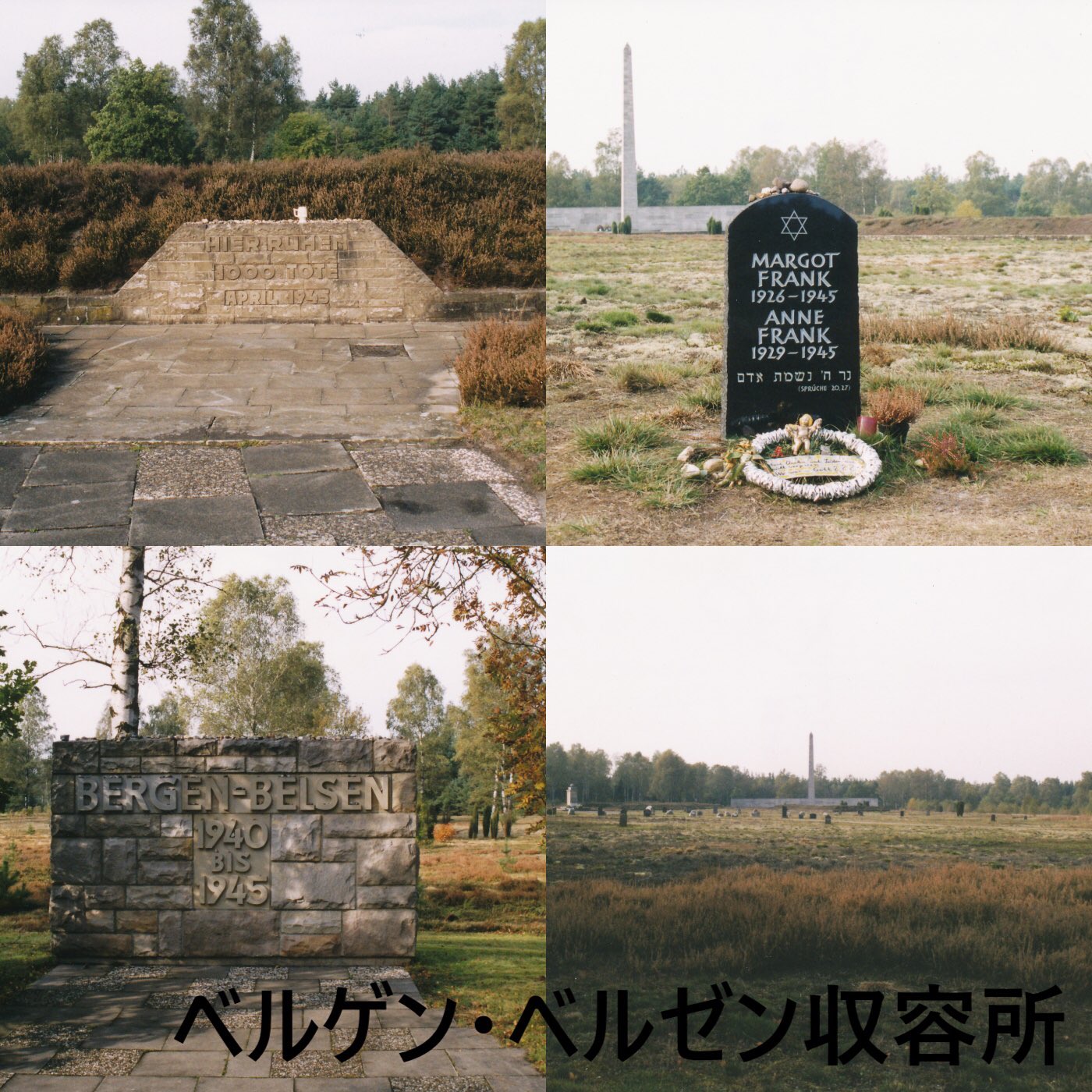 Twitter पर Npo法人ホロコースト教育資料センター Tokyo Holocaust Center 元ナチ親衛隊員 96歳のオスカー グレーニング被告に収監命令を下したドイツ ツェレの地方裁判所 ツェレと言えば おとぎ話に出てくるような可愛らしい木組みの家が並ぶ町 ここから北16 Twitter पर Npo法人ホロコースト教育資料センター Tokyo Holocaust Center 元ナチ親衛隊員 96歳のオスカー グレーニング被告に収監命令を下したドイツ ツェレの地方裁判所 ツェレと言えば おとぎ話に出てくるような可愛らしい木組みの家が並ぶ町 ここから北16