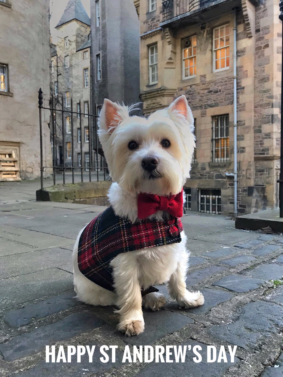 Happy St Andrew’s Day - Scotland’s patron saint is remembered for his kind and generous nature.  So, this St Andrew’s Day #Belikestandrew #scotspirit 🏴󠁧󠁢󠁳󠁣󠁴󠁿