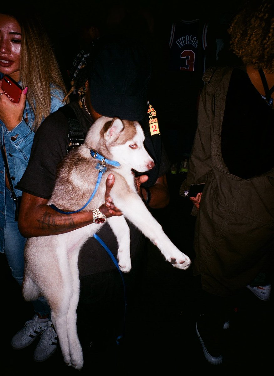 AaronLngslvs's tweet photo. @souljaian Nice Pup, They Don't See The Watch Tho. Hit Me 🖼 https://t.co/jEaEHWZhfQ