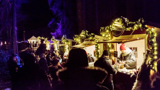 parkerlebnis's tweet image. Morgen startet die Winter-Öffnung von #Kolmården - 2017 mit erweitertem Weihnachts-Angebot parkerlebnis.de/kolmarden-erne…