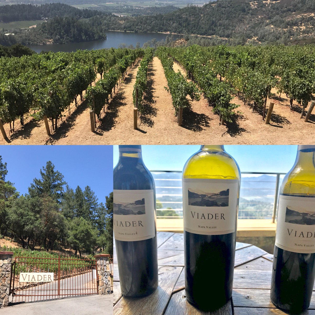 LazySomm's tweet photo. Viader Vineyards & Winery, Angwin. Known for the Bordeaux style. Nice view, great wine. #viader #angwin #napavalley #winery #wine #winetasting #lazysomm #august2017 #ワイン #ワイナリー #ナパバレー #カリフォルニア https://t.co/jxHmMbYqII