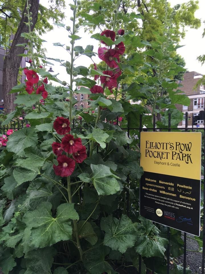 ThePotCompany's tweet photo. Some of our large planters at https://t.co/15yIujEJIF. A lovely little spot a stone's throw from the Elephant and Castle Roundabout managed by Mobile Gardeners since summer 2013. #thepotco #pots #planters #features #gardening #design #landscaping https://t.co/hb2vLNuSzp