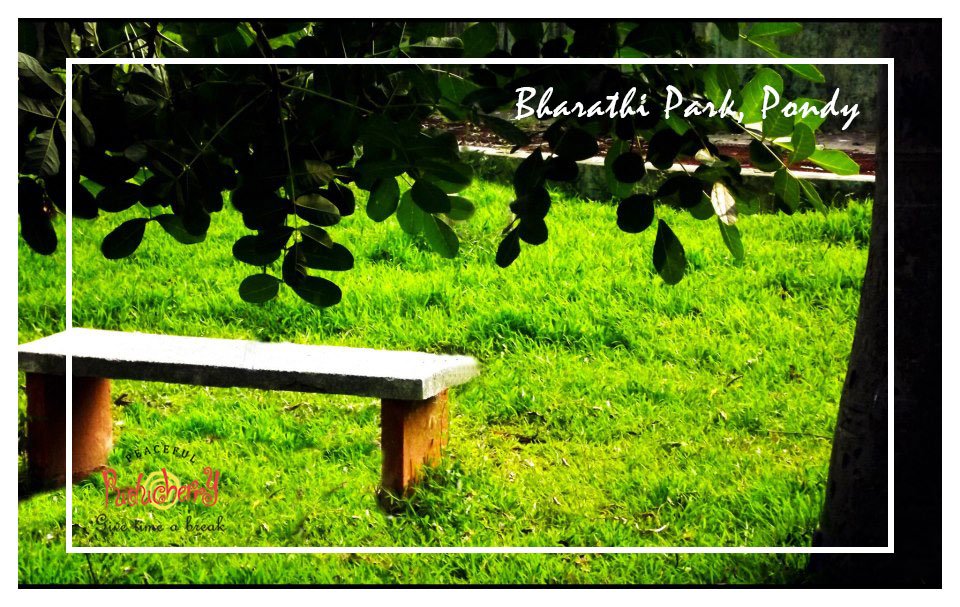 pondytourism's tweet photo. #BharathiPark at #Pondicherry
The Government Park or Bharati Park is in the green centre of the French Town.
It's open to the public from 6:00am to 9:00pm on all days.
More: https://t.co/DXcrlpt1To
#Pondytourism #Puducherry #Pondy #PlacestoVisit #ExplorePondy #BharathiPark https://t.co/23xP5OxH7q