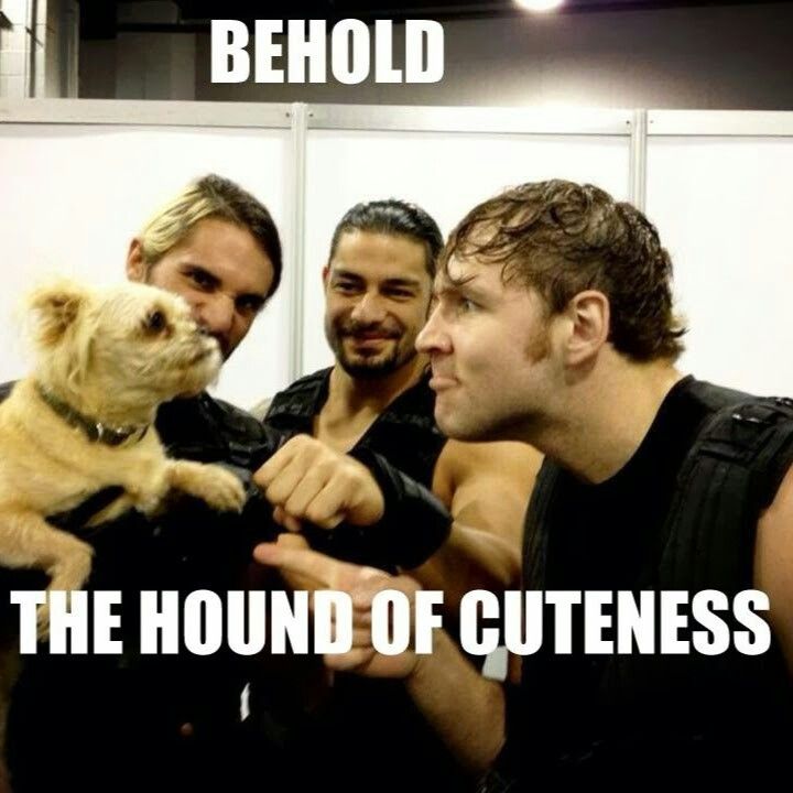 deepu3925's tweet photo. Cutiee piess!!...😍😍😍
#ShieldGirl @RomanReignsdeep
👊👊👊👊 https://t.co/4eFYtKV8OC