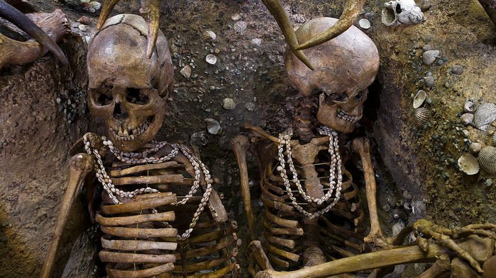 things_science's tweet photo. Ancient farm women in Central Europe labored so vigorously that their upper body strength surpassed even today’s elite female athletes. Eating less meat &amp; more grains/vegetables might have also helped shift bone &amp; muscle strength #sciencenews #strongwomen
https://t.co/jcm06vEPo4 https://t.co/ss1pW7pb7N