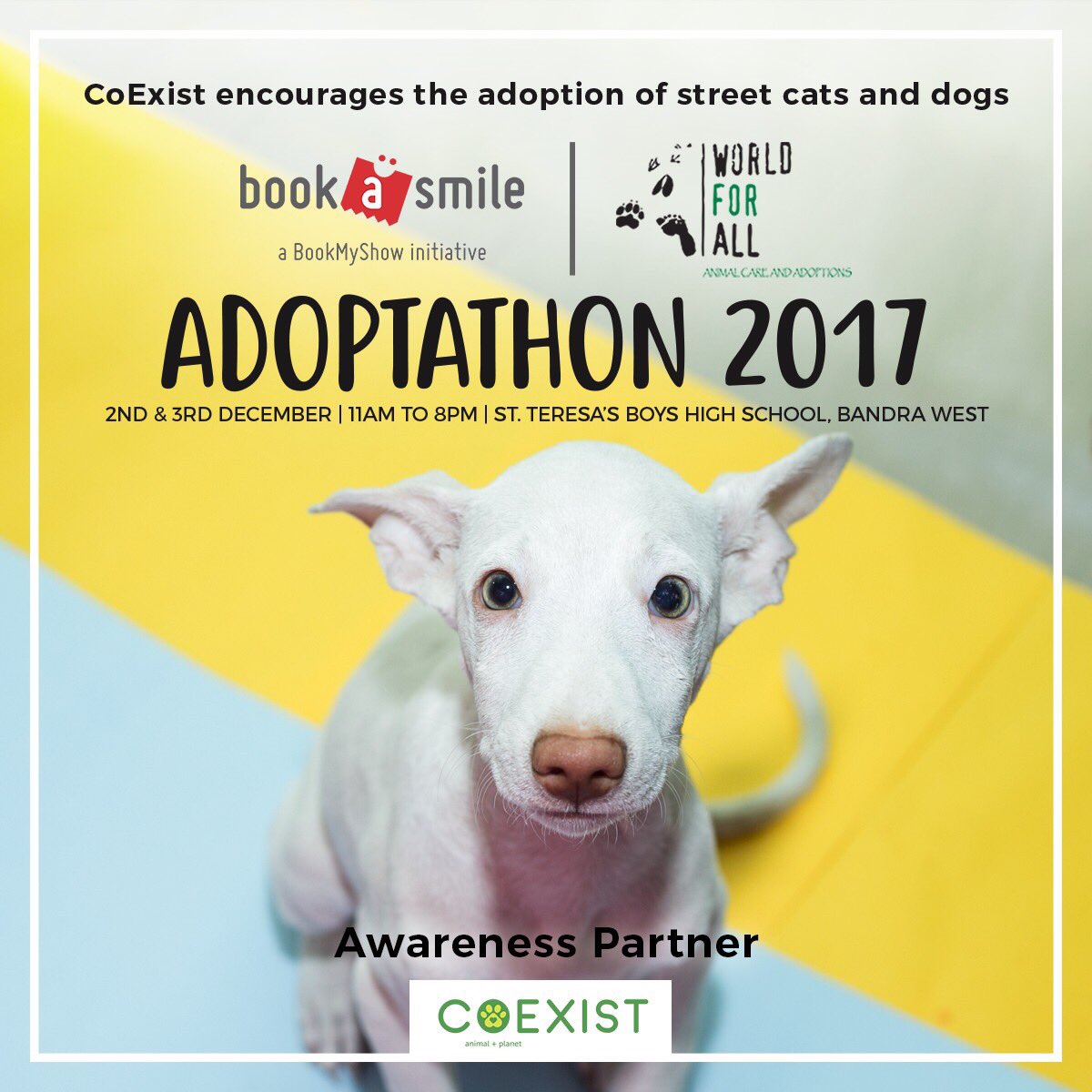 aliaa08's tweet photo. Open your hearts and homes to 180 puppies and kittens up for adoption at the Adoptathon this weekend hosted by @BookASmileIndia and @worldforall. Soo glad to have  #CoExist as the awareness partner 💚 https://t.co/8AijsqKrO0