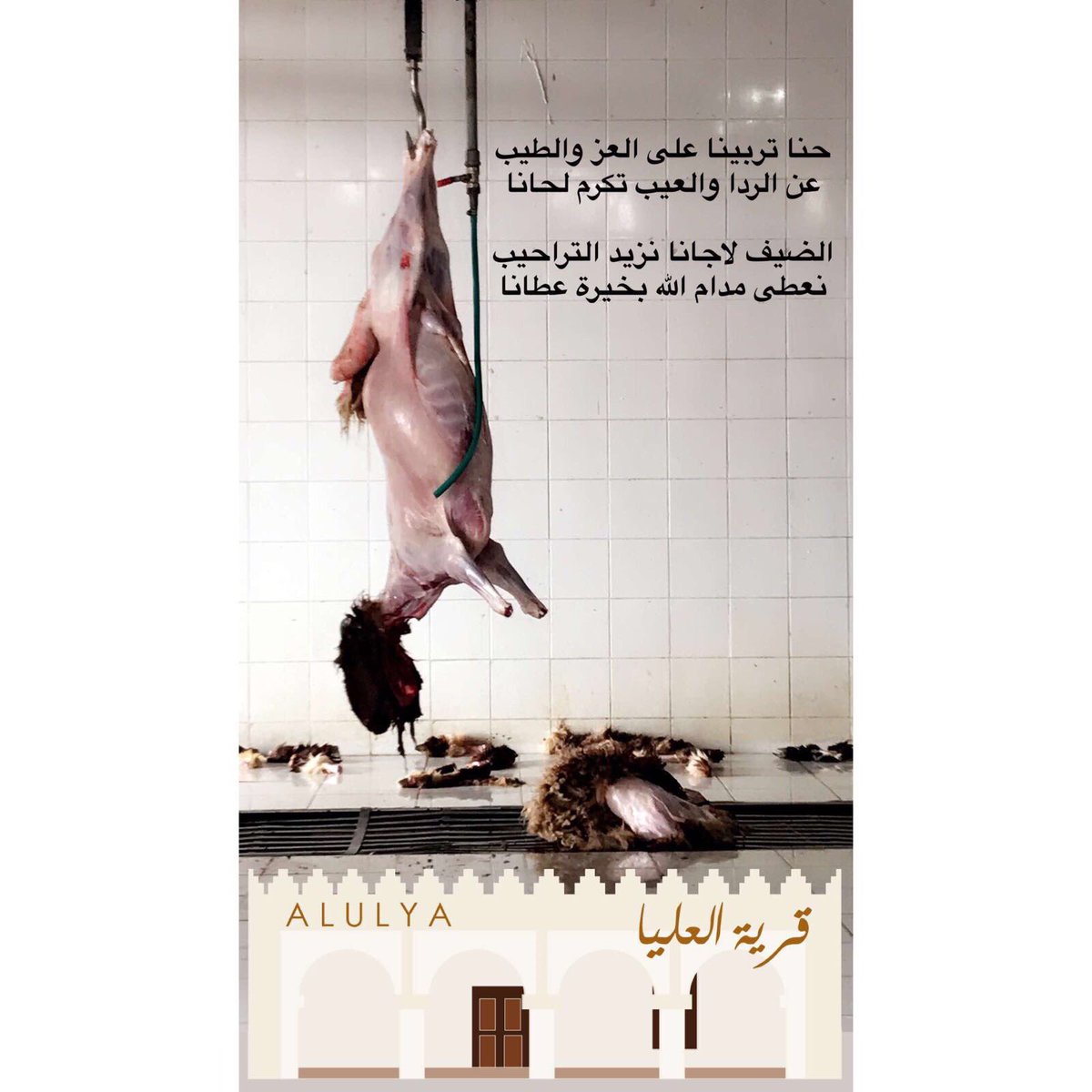 حنا تربينا على العز والطيب
عن الردا والعيب تكرم لحانا

الضيف لاجانا نزيد التراحيب
نعطي مدام الله بخيرة عطانا