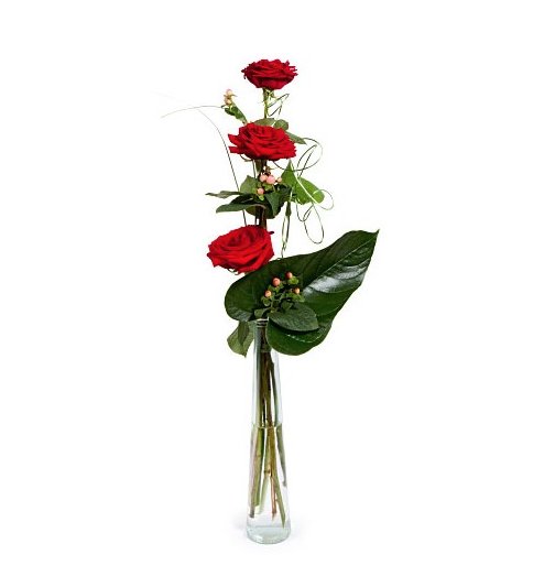 Cuando quieres gustar.....
Incluye jarrón. Rosas de tallo de 60 cm.
floristerialaorquidea.es/benidorm/20-em…