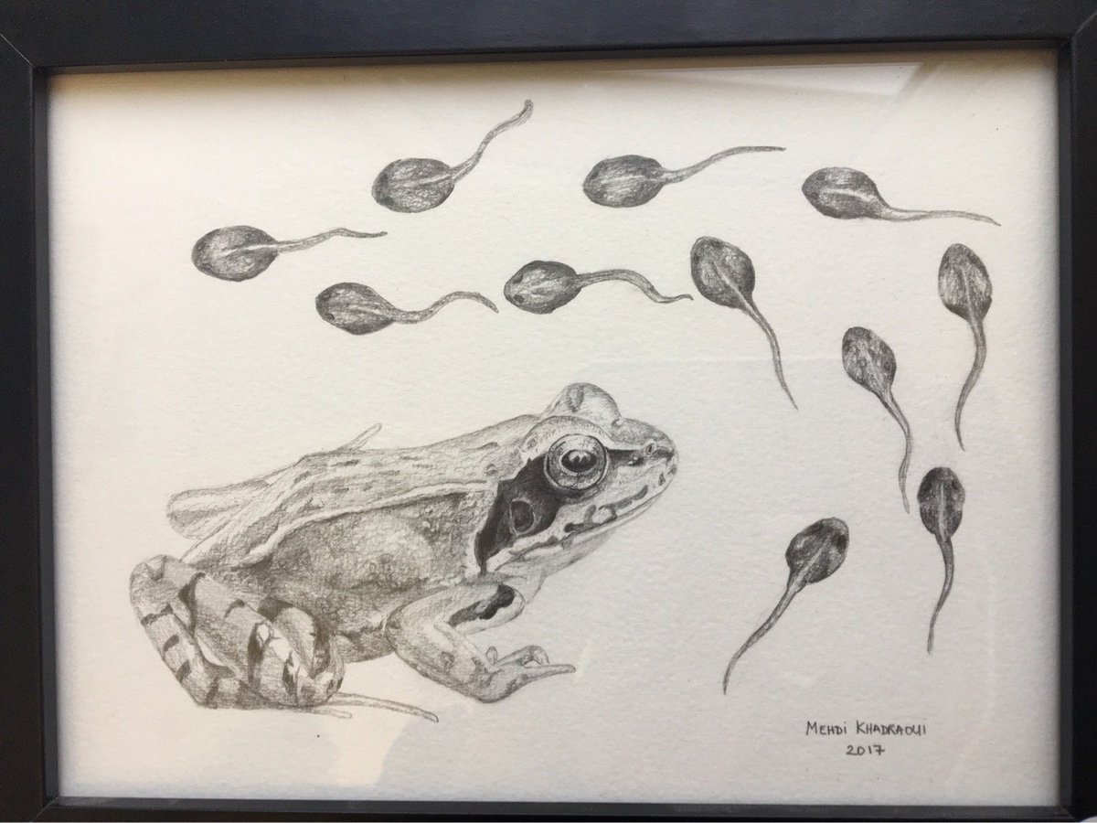 katjajrasanen's tweet photo. the desired object of our #labxmas -white elephant gift exchange- reveals Mehdi K as the #artist in the #mollab. #rana https://t.co/u3TnosgeUQ