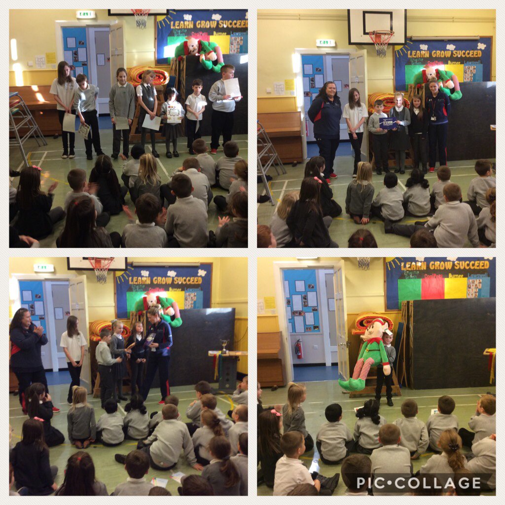 Fishcross Primary tweet media