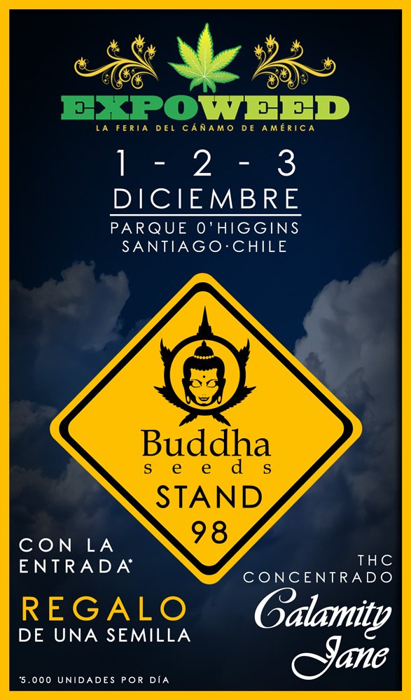 BuddhaSeeds's tweet photo. Con #ganas de que arranque mañana @ExpoweedChile07 ¡¡Os esperamos en el #stand98!! recordad, comprando la #entrada recibiréis como #regalo 1 semilla de #CalamityJane 🤠🤠 #Felizjueves https://t.co/i9gI9SpayB