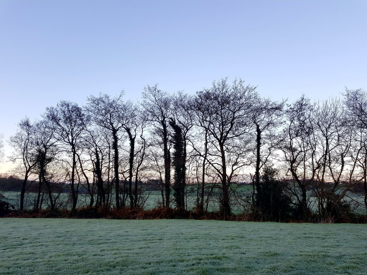 gortron's tweet image. Working from home, nice winter morning view out the window. Kinda miss the AC in the office right now though