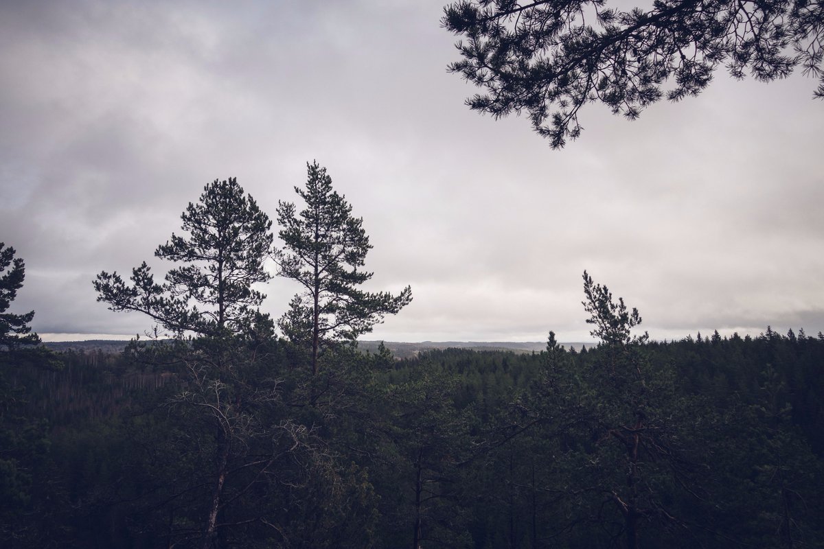 elnadahlstrand's tweet photo. Där Bauerleden blir Holavedsleden: https://t.co/Jydi6rTaWG https://t.co/3dhN1xYnM6