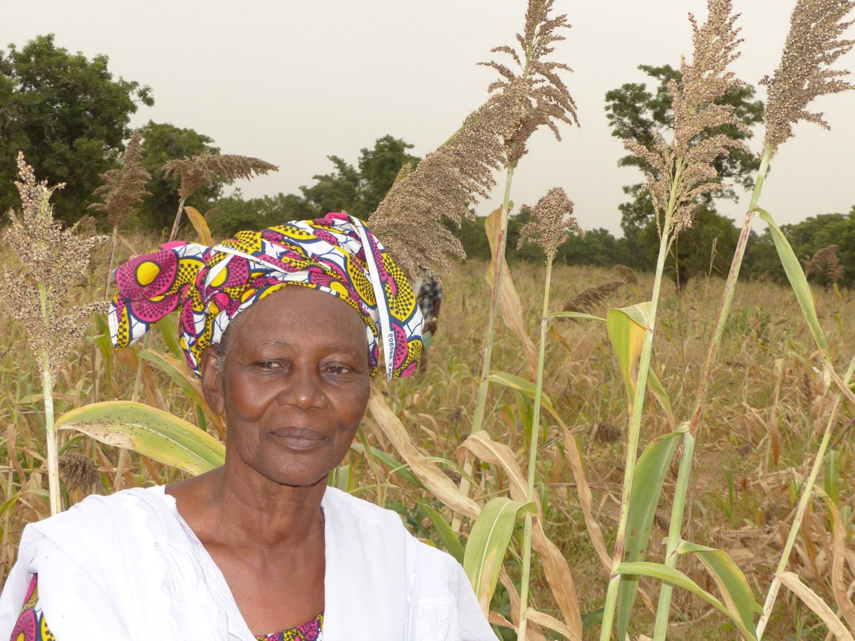ICRISAT_HOPE's tweet photo. Meeting with the farmers of Kamalé village,35 km southwest of #Bamako. Mrs.Tata Keita,a producer & others farmers organized themselves into a cooperative to strengthen their capacities & become seed producers through the training offered under the #HOPEIIProject. #ICRISAT #Mali https://t.co/sY2UOVrXzx