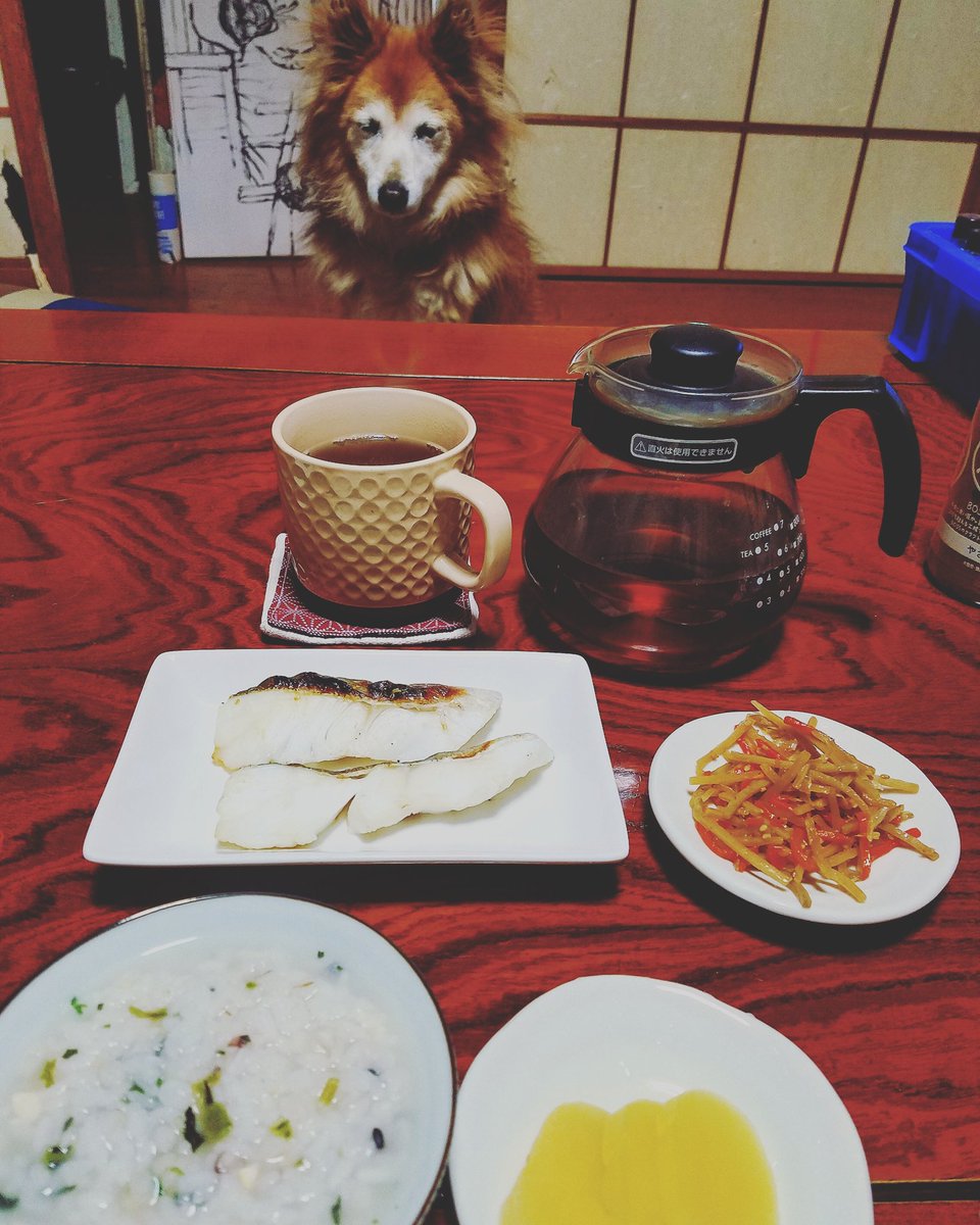 ホット麦茶