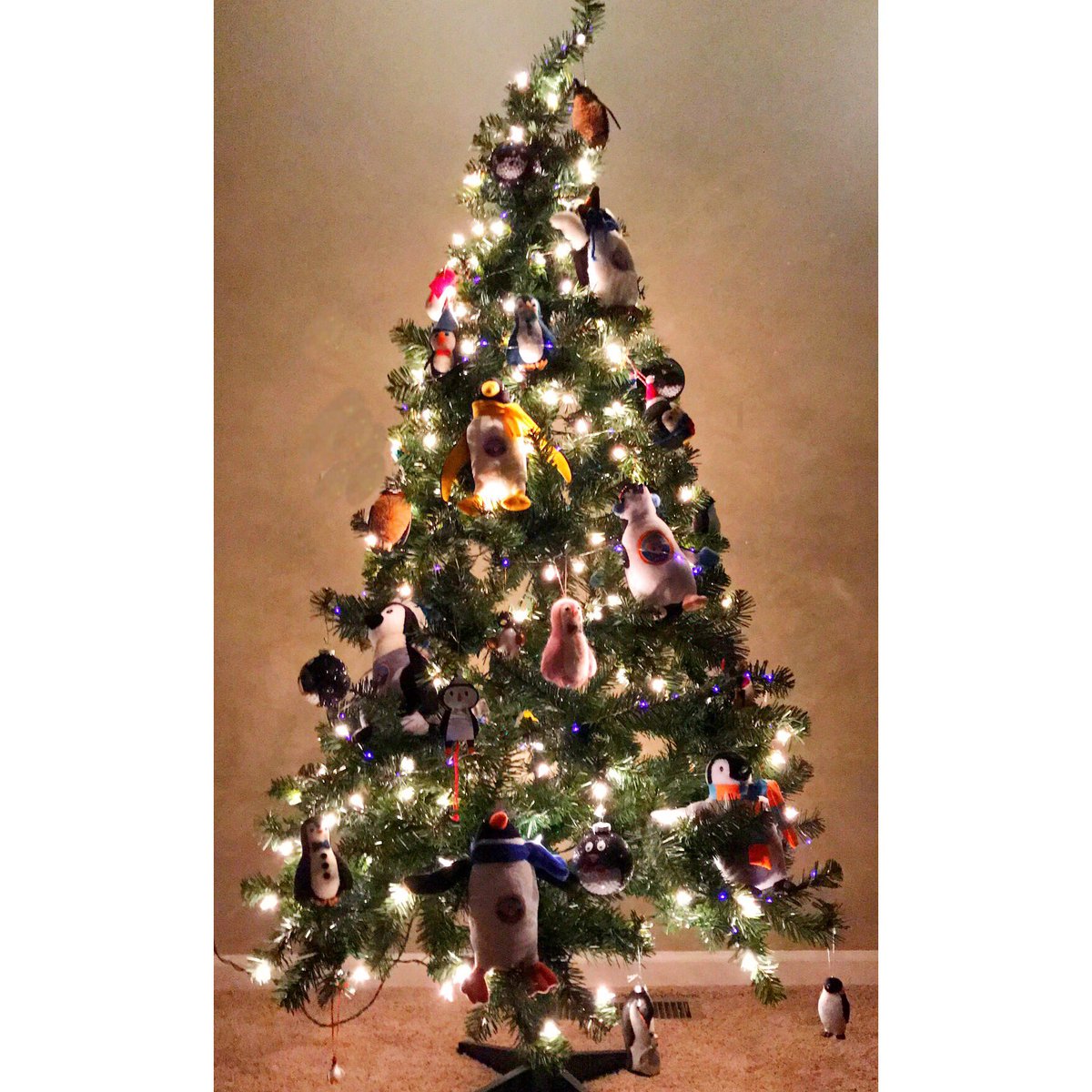 lilfish94's tweet photo. Penguin tree filled with @OLHSACommAction penguins from @Genisyscu 🐧🙌🏻🤗 #OLHSAWalkforWarmth #PenguinsAreTheBest #Missing2013 :( https://t.co/Wc8njKhwqY
