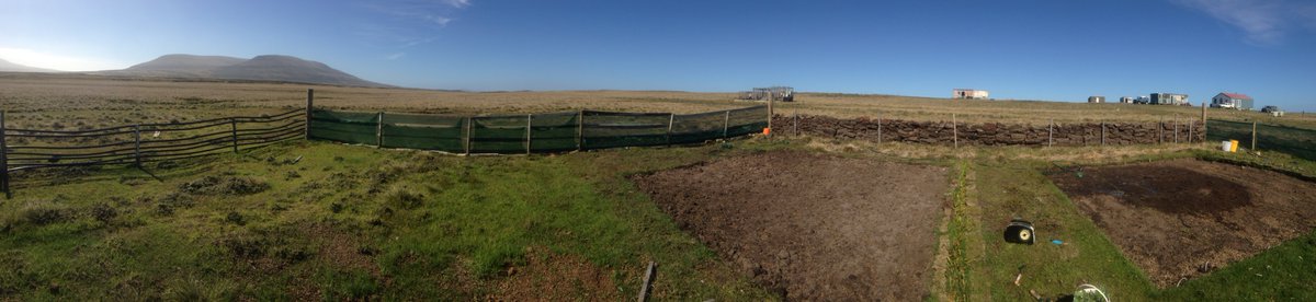 doyle_falklands's tweet photo. Beautiful day here in the #falklands. More #gardening with our little helper today! #garden #grow #sun #plant #falklands #baby https://t.co/zpLMvYeGOq