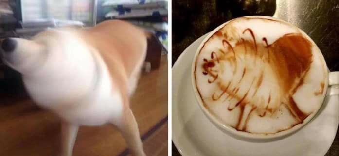 animalsdoing's tweet image. i call this art