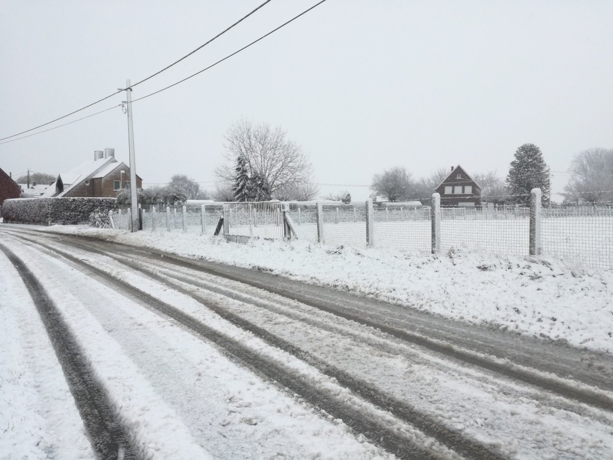 Nollie70's tweet photo. Ondertussen in Erpe-Mere (Belgie) #sneeuw foto van Jurgen uit Aalst. https://t.co/9IJO4rzIDU