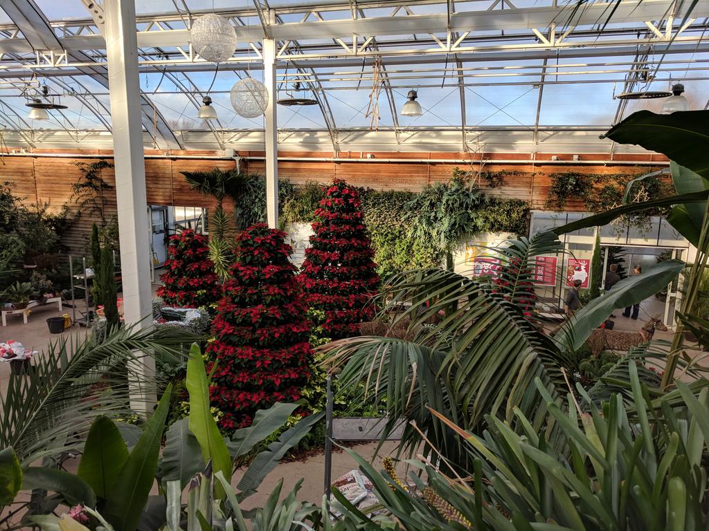 Waheed_Arshad's tweet photo. .@RHULBioSci undergraduates take on the topics of plant morphology and diversity at @RHSWisley. https://t.co/vh47U80Cm3