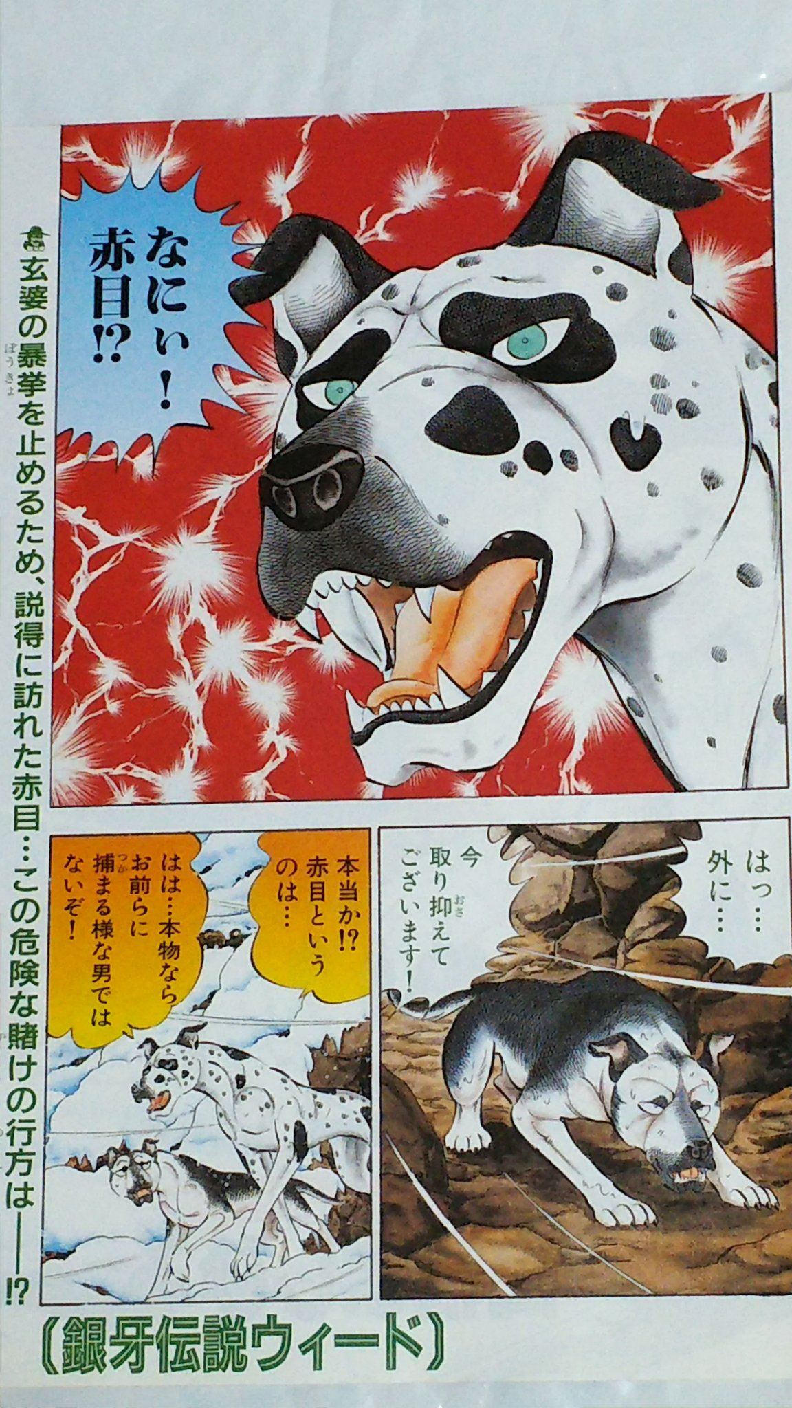 銀牙伝説WEED スポーツタオル