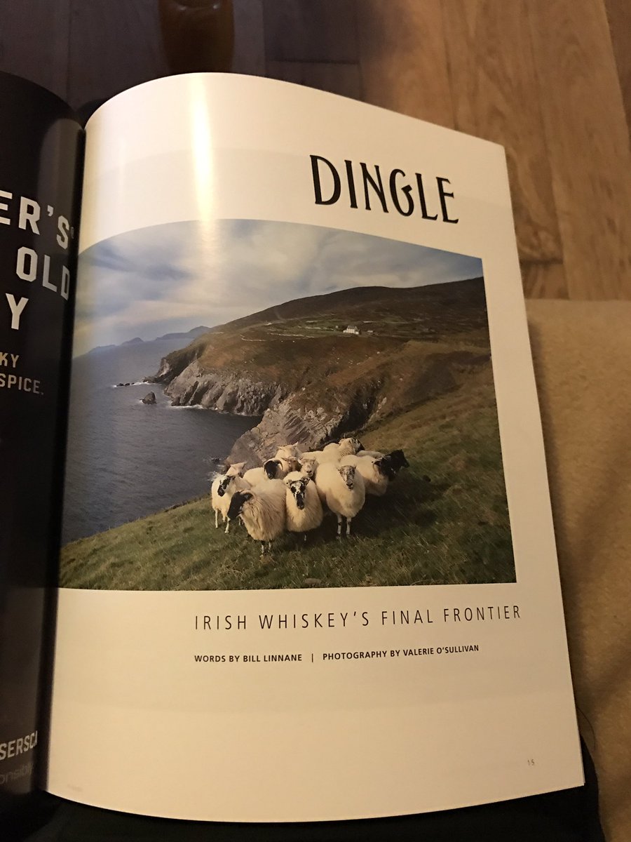 ℙ𝕠𝕥 𝕊𝕥𝕚𝕝𝕝 𝕎𝕚𝕝𝕝 🥃+🍺 tweet media