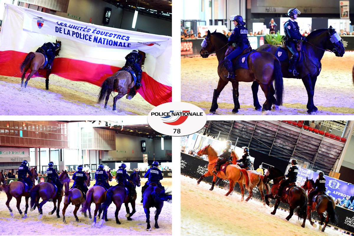 PoliceNat78's tweet photo. [#SalonDuCheval] Dressage, techniques de maintien de l'ordre et d'interpellation....En compagnie de l'unité équestre de la @prefpolice, les cavaliers de la @PoliceNat78 réalisent une démonstration de leurs talents ! https://t.co/INV2FQRPEg