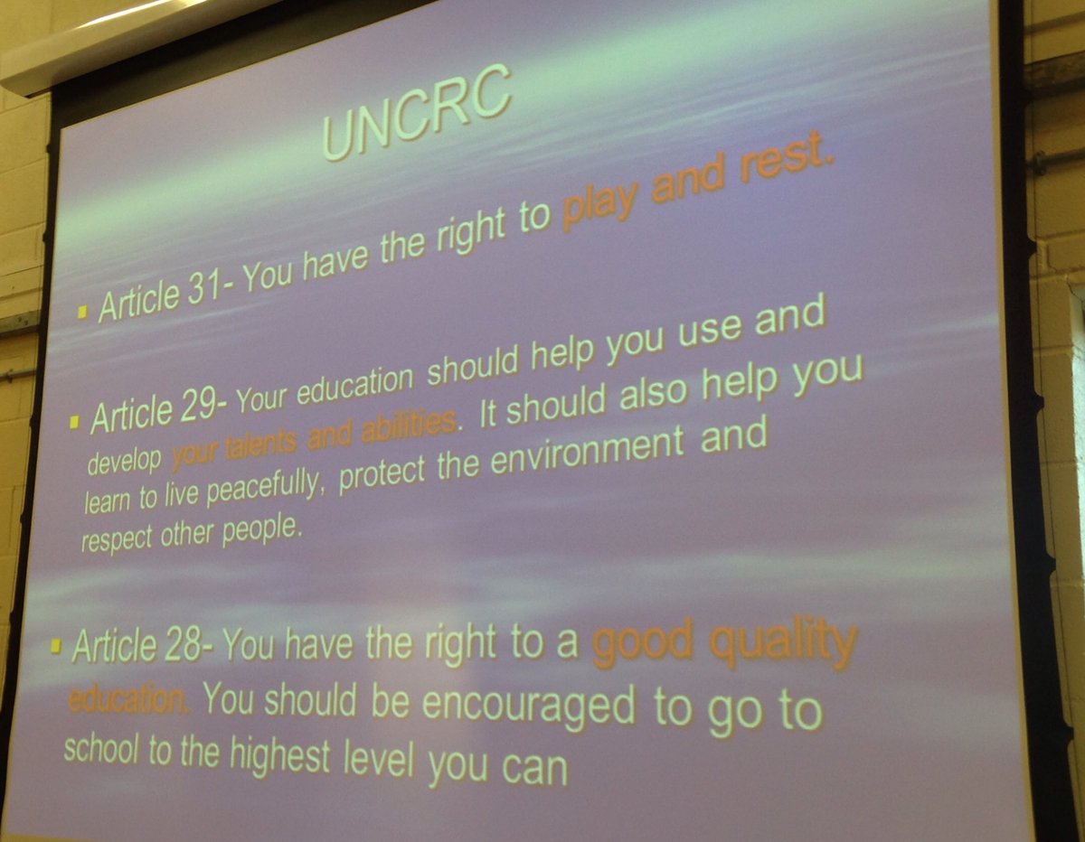 Mr Lamprey tweet media