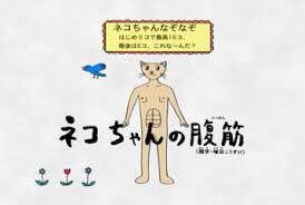 福本式腹筋の描き方を見てると、ネコちゃんの腹筋を思い出す。サイコロステーキみたい。とれそう。 
