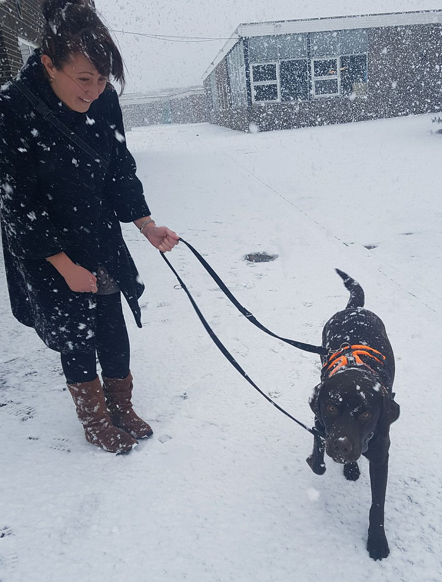 HuntingtonRolo's tweet photo. Today we had this new thing called snow! It was SO fun. I'm warming my paws in the office now. #Snow #SnowWatch https://t.co/BpFgzfflSx