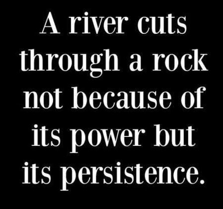 VisibleProgress's tweet photo. Persistence is the key.  https://t.co/1T2rNxx7xt https://t.co/dUSd8VBawu