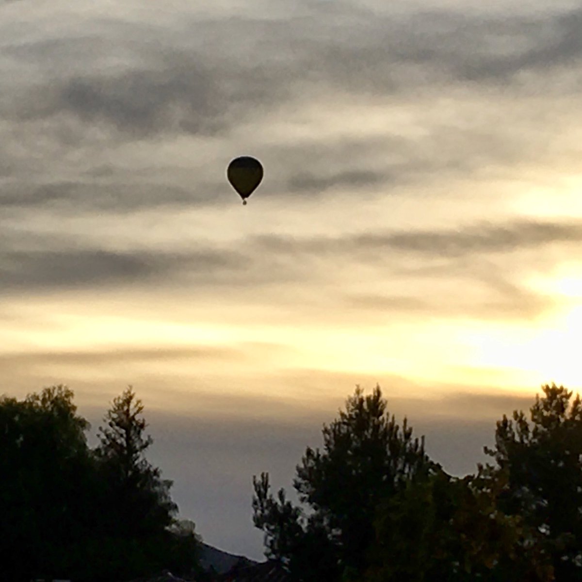 Kann Advisory Group tweet media