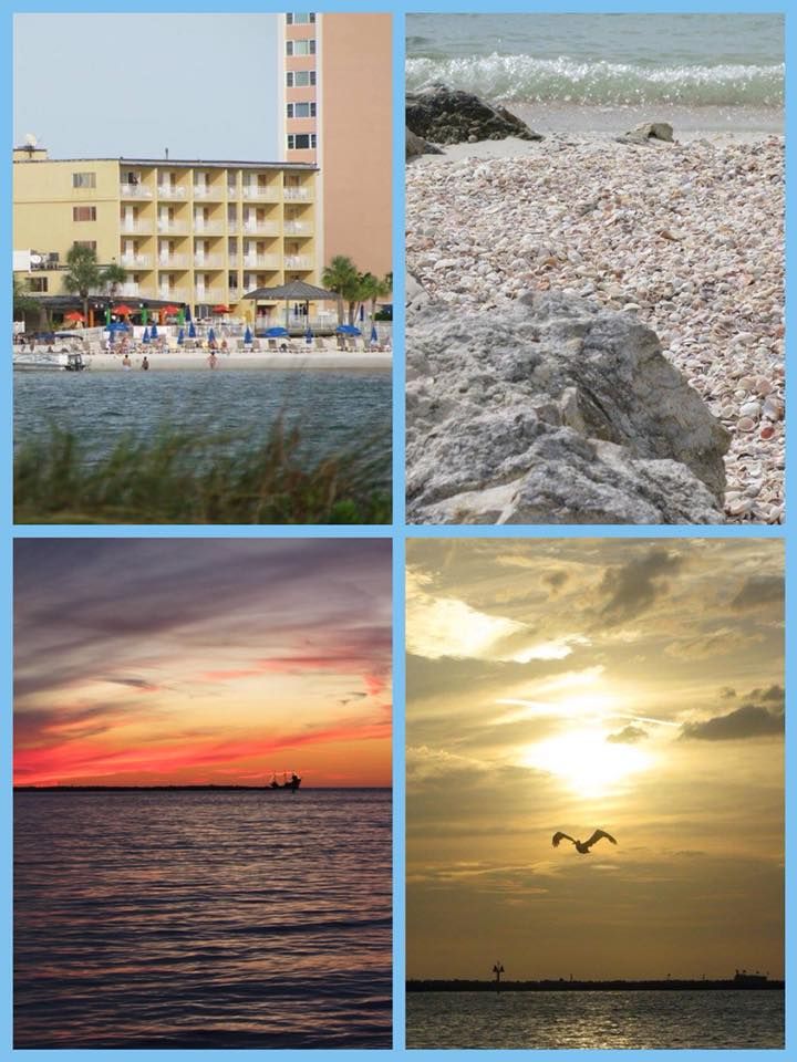 "I loved my stay here last fall... I captured so many gorgeous pictures..." Special shout out to Diana Lee Helton for sharing a few of her favortie photos of her #QualityTime on #ClearwaterBeach! Thanks, Diana! We look forward to your next visit!