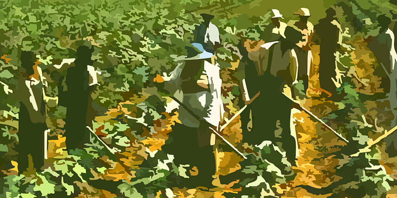 FoodSolutionsNE's tweet photo. Farmers, do you have questions about Farm Employment Law? Join this workshop presented by @NewEntry @CLF @ConnKavanaugh at @UMassLaw https://t.co/rlwK0P1WSO @MAFoodSys @NOFAMass @bfnMass @RhodyAg @MAFarmBureau @SEMAPonline https://t.co/aAXB8MDono
