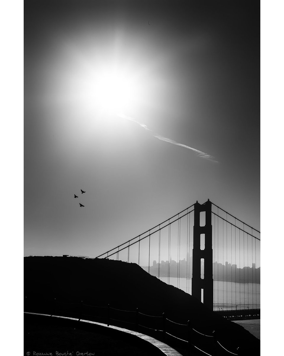 roxanne_overton's tweet photo. An arc of light, echoed by complimentary strands of wire, lead my eye into this shot. #sf #sfguide #49miles #greaterbayarea
#chasinglight#artofvisuals #agameoftones #shoot2kill#imaginatones
#sanfrancisco #marinheadlands #fineartphotography #landscape https://t.co/SVPDXmXwys