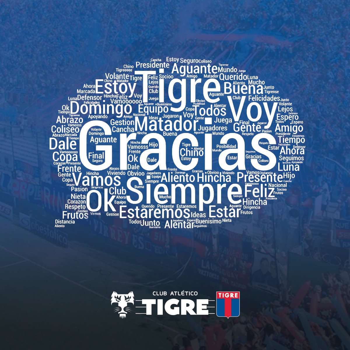 En el #DiaDelHinchaTigrense saludamos a los hinchas, que nos fueron respondiendo. Esto surgió de sus respuestas...