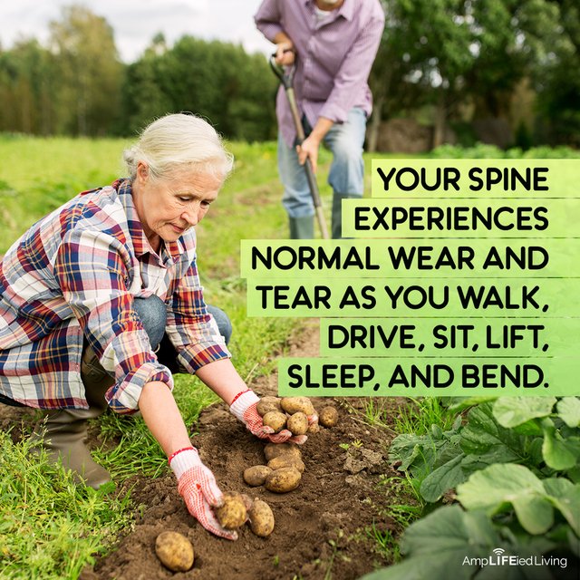 sabelldc's tweet photo. If there is a misalignment of the spine, it can and will negatively affect the structure and function of other parts of your body. Get... https://t.co/j2uG3vD2HH