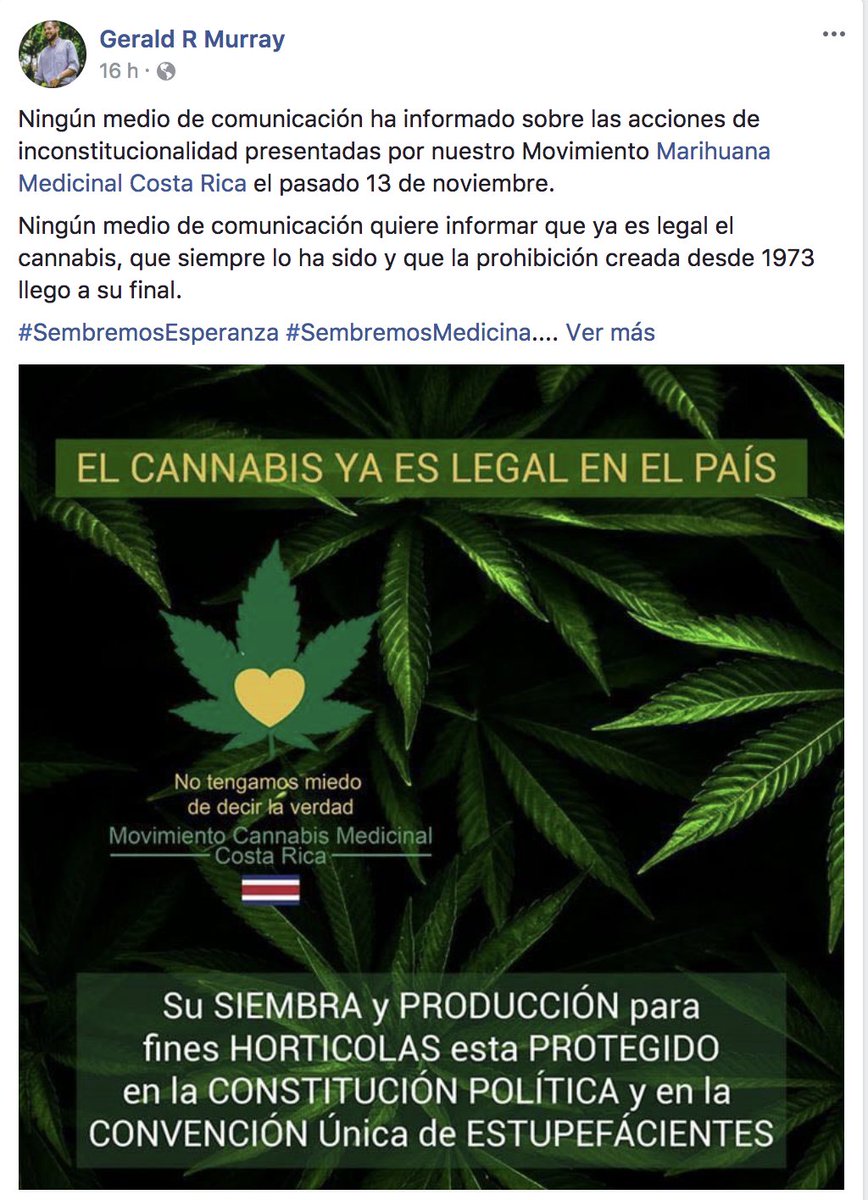 OperacionMoin's tweet photo. Ministerio de @seguridadcr Nos gustaria conocer la veracidad de estas afirmaciones  de @geraldrmurray  y su perspectiva  @fuerzapublicaCR @gustavomatacr Señor mata es legal  el autocultivo @j_j_andrade   Si o No? Gracias https://t.co/V88lDKZ8rz