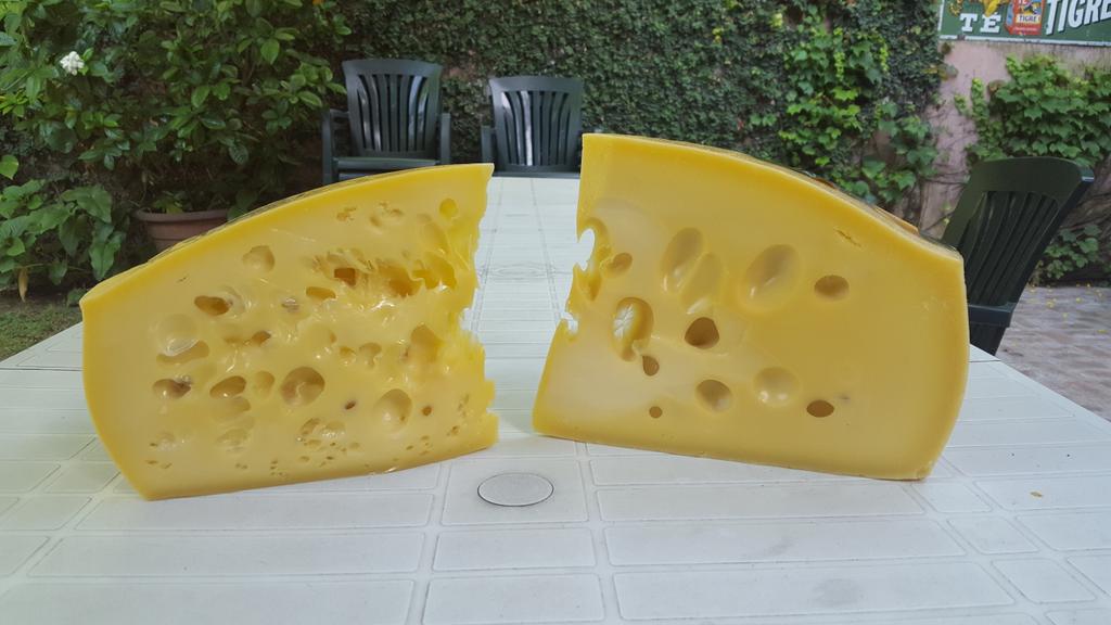 Queso gruyere, solo lo hacen las pymes, la quesera, sobrero y cagnolo, magnasco.  Los europeos quieren que lo  llamemos queso suizo.