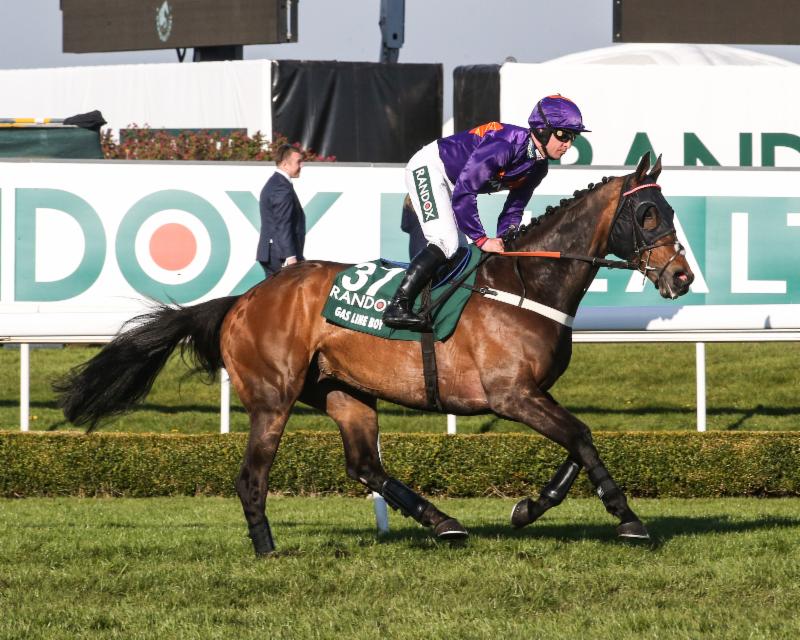 RacenewsService's tweet photo. Williams hoping #GasLineBoy can light up @AintreeRaces on Becher Chase Day @RandoxHealth https://t.co/BKBgTEaWo3 https://t.co/gSjZwRDJct