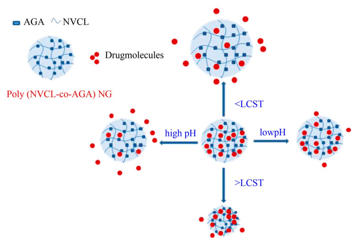 jolie_MDPI's tweet photo. #mdpigels #Stimuli_Responsive Poly(Vinyl Caprolactam) #Gels for #Biomedical Applications, a review in Gels, has gotten 8 citations, welcome to read: https://t.co/kaayHW9O4N https://t.co/hJIlbEetRv
