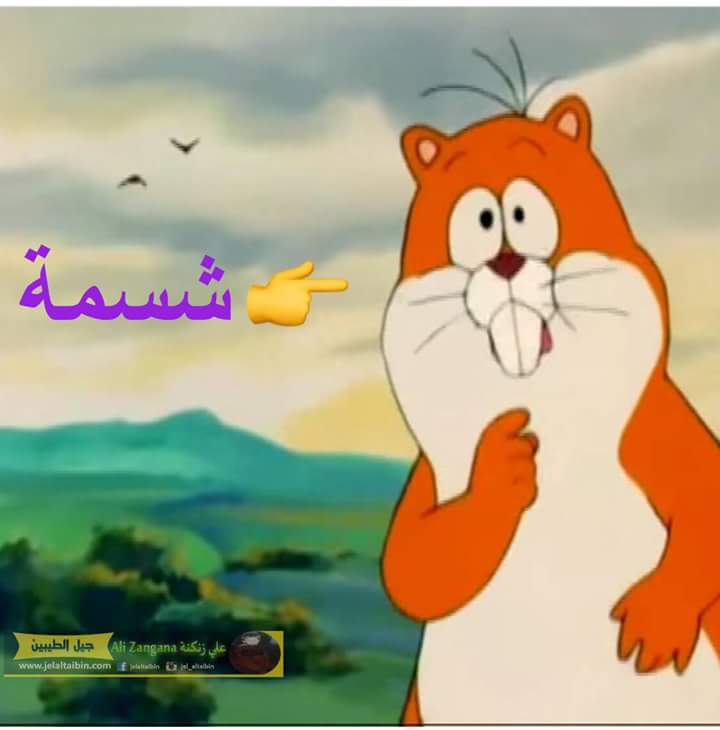 منة الله الحسين On Twitter الله على ايام اقصى همومنا بيها كانت ان تفوت علينا حلقه من افلام كارتون نيلز