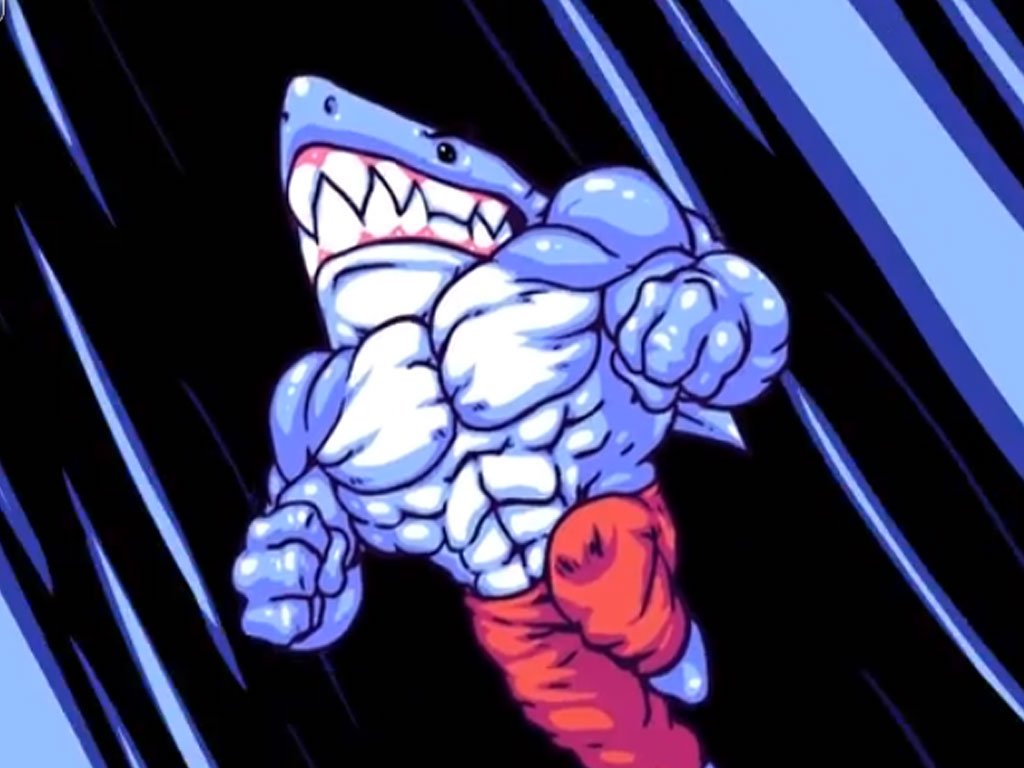 SharkSocket tweet picture