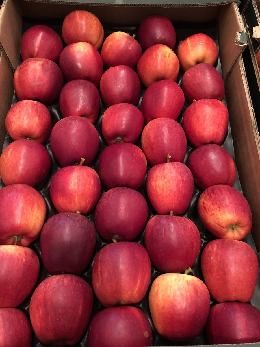 THB1938's tweet photo. We only sell Kent Produce when in season. Why would you not? #kent #chefs #keepitKentish https://t.co/ITmqGtg01i