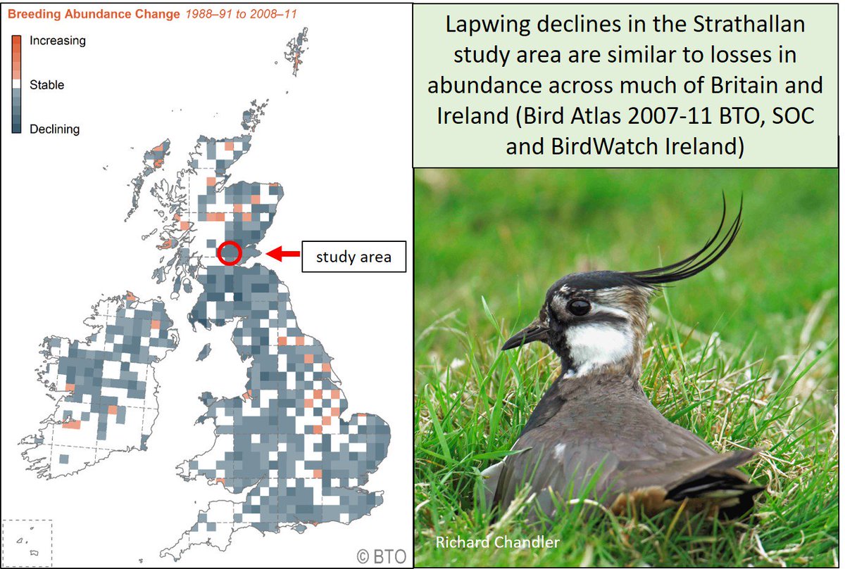 GrahamFAppleton's tweet photo. New #WaderTales blog with a wee nod to #StAndrewsDay. 25-year study of breeding #Scottish #waders @BTO_Scotland #ornithology https://t.co/5YA4NiNRHt https://t.co/su5uXqhssy