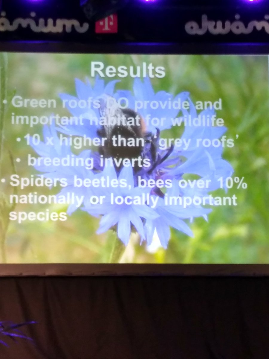 livingrooftops's tweet photo. Dr Gyongyver Kadas speaking about #Biodiversity on #London #greenroofs #EUGIC2017 https://t.co/F8BH7V9X74