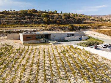 VlassidesWinery's tweet photo. One of the Winery's friends who visited us during the "Open Winery" event took some excellent, panoramic photos of the vineyards and the winery. Enjoy them!
We sincerely thank #ValentinosLoucaides | Click here to see all the photos: https://t.co/gK5djcTupf https://t.co/BX5wN9nDKR
