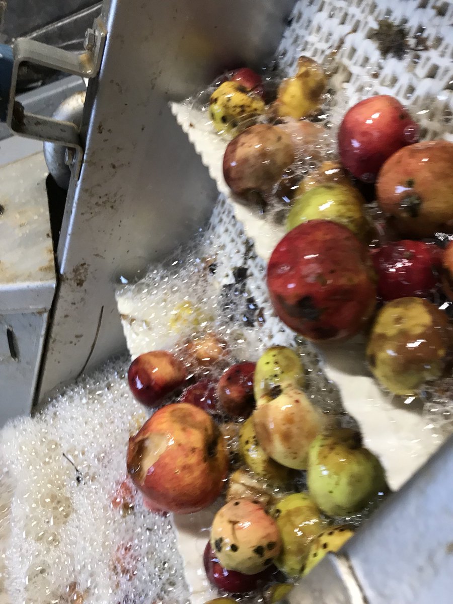 shanedoesdrinks's tweet photo. A little trip to @dunkertons cider press. Very cool https://t.co/PPPil9BxtR